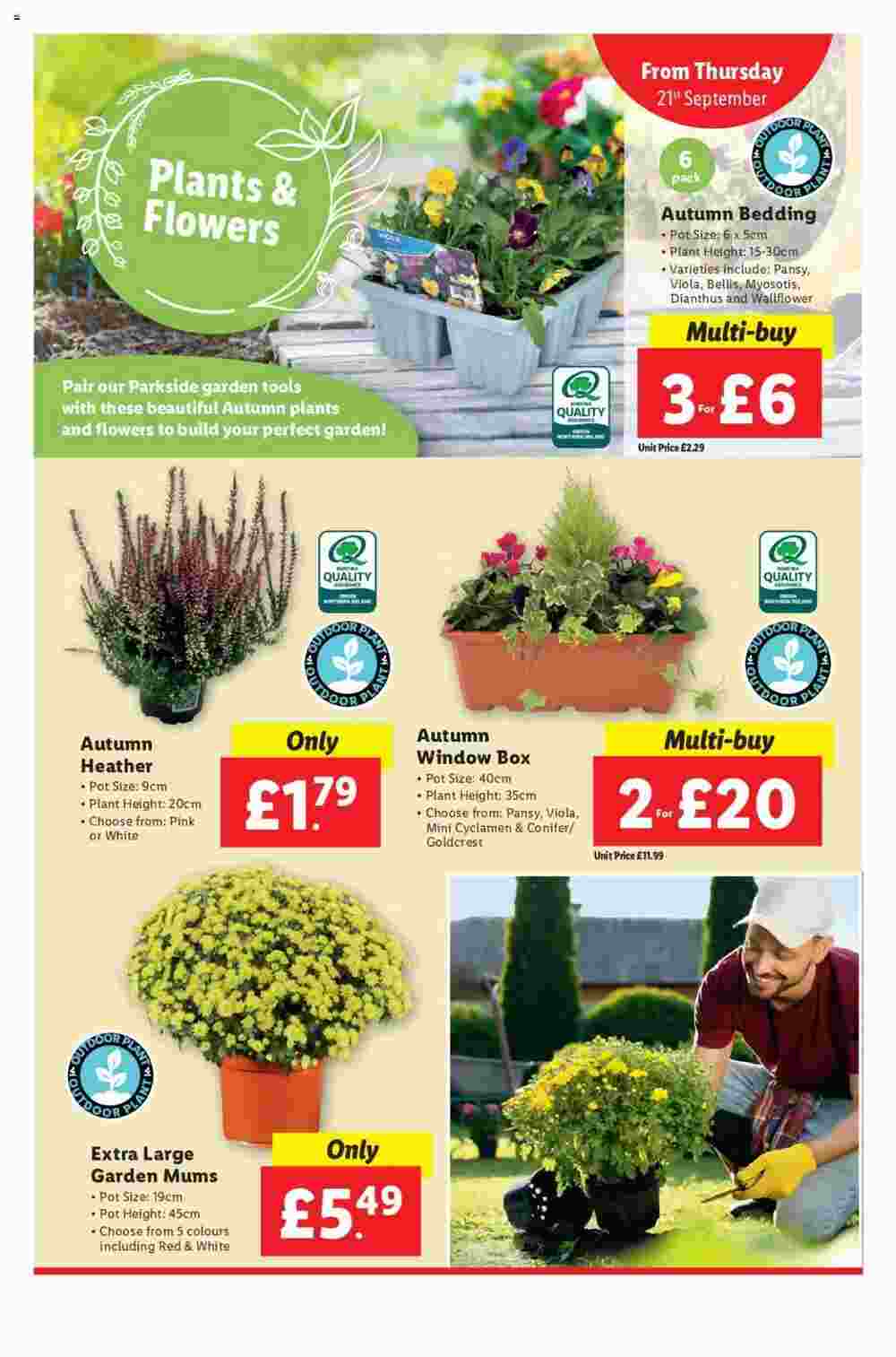 Lidl offers valid from 21/09/2023 - Page 23.