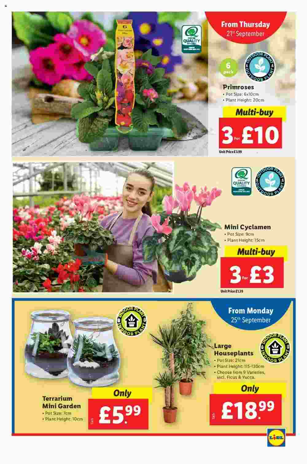 Lidl offers valid from 21/09/2023 - Page 24.