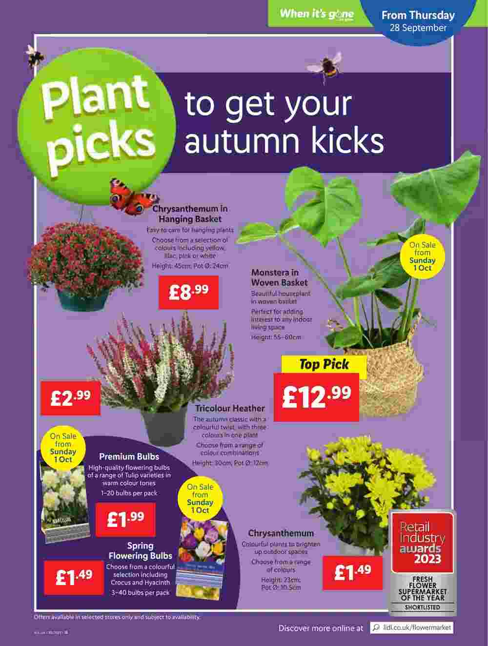 Lidl offers valid from 28/09/2023 - Page 31.