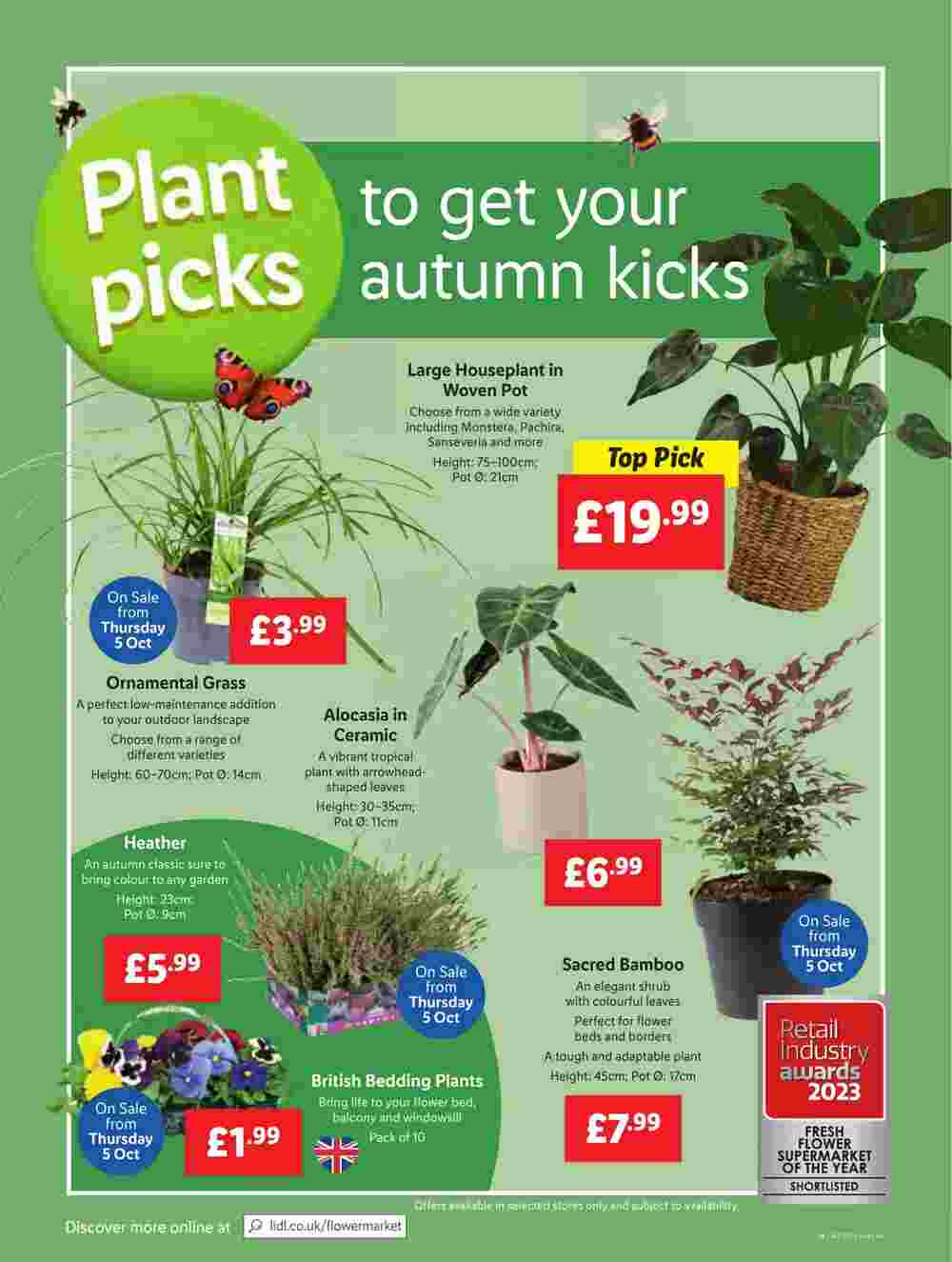 Lidl offers valid from 05/10/2023 - Page 40.