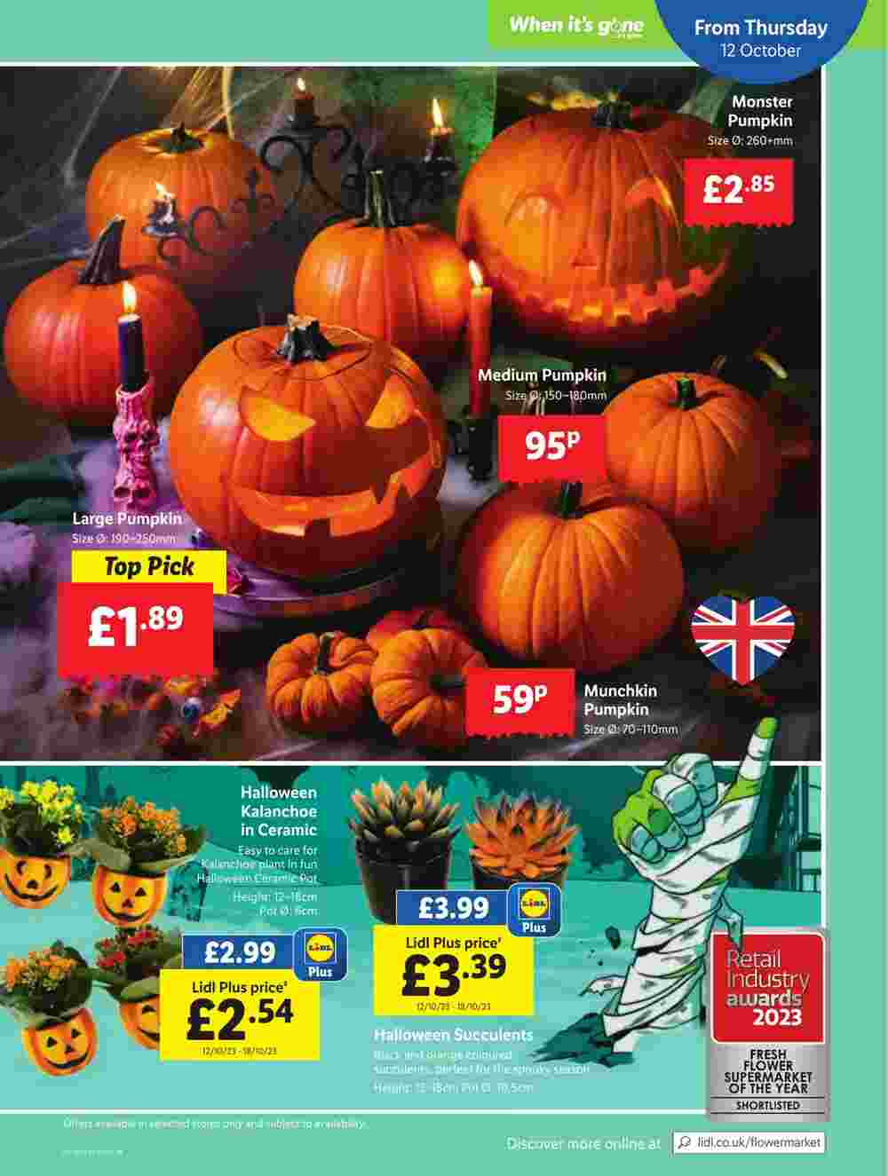 Lidl offers valid from 12/10/2023 - Page 17.