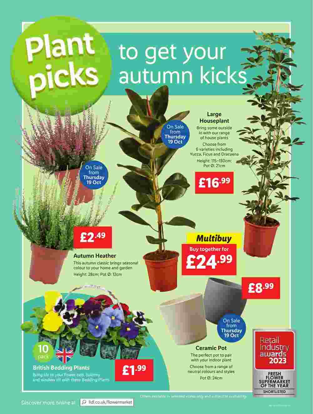 Lidl offers valid from 19/10/2023 - Page 22.