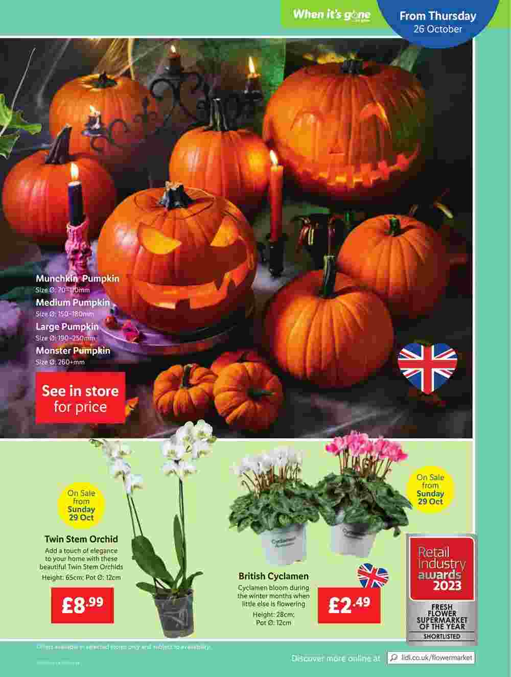 Lidl offers valid from 26/10/2023 - Page 13.