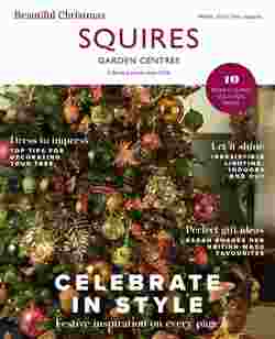Squires Garden Centres offers valid from 26/10/2023