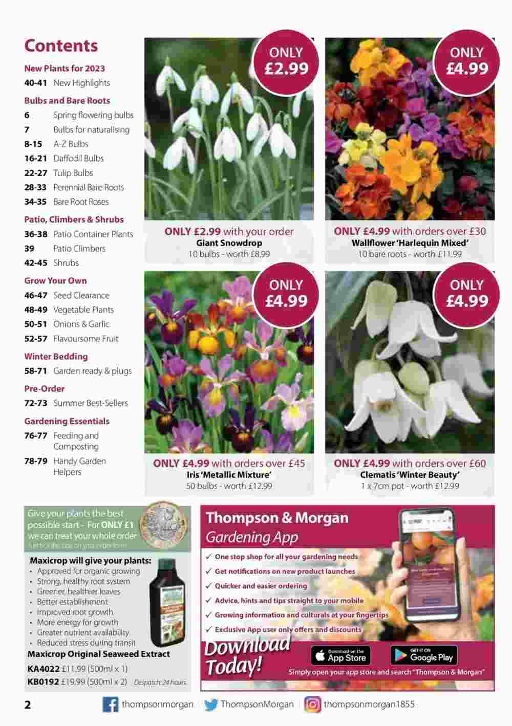 Thompson & Morgan offers valid from 26/10/2023 - Page 2.