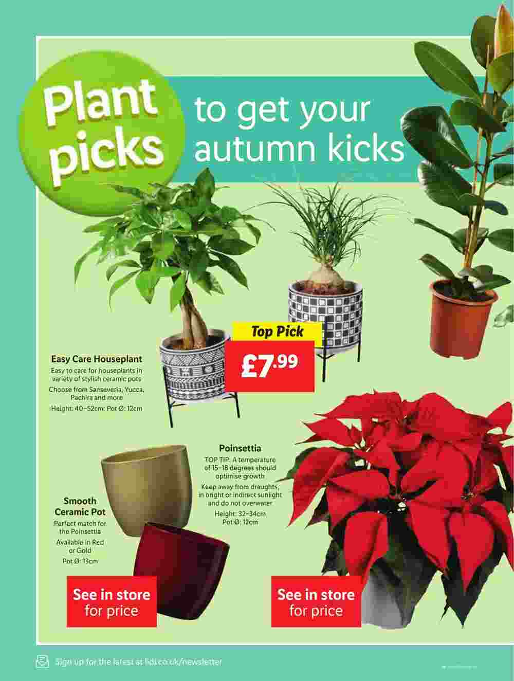 Lidl offers valid from 02/11/2023 - Page 18.