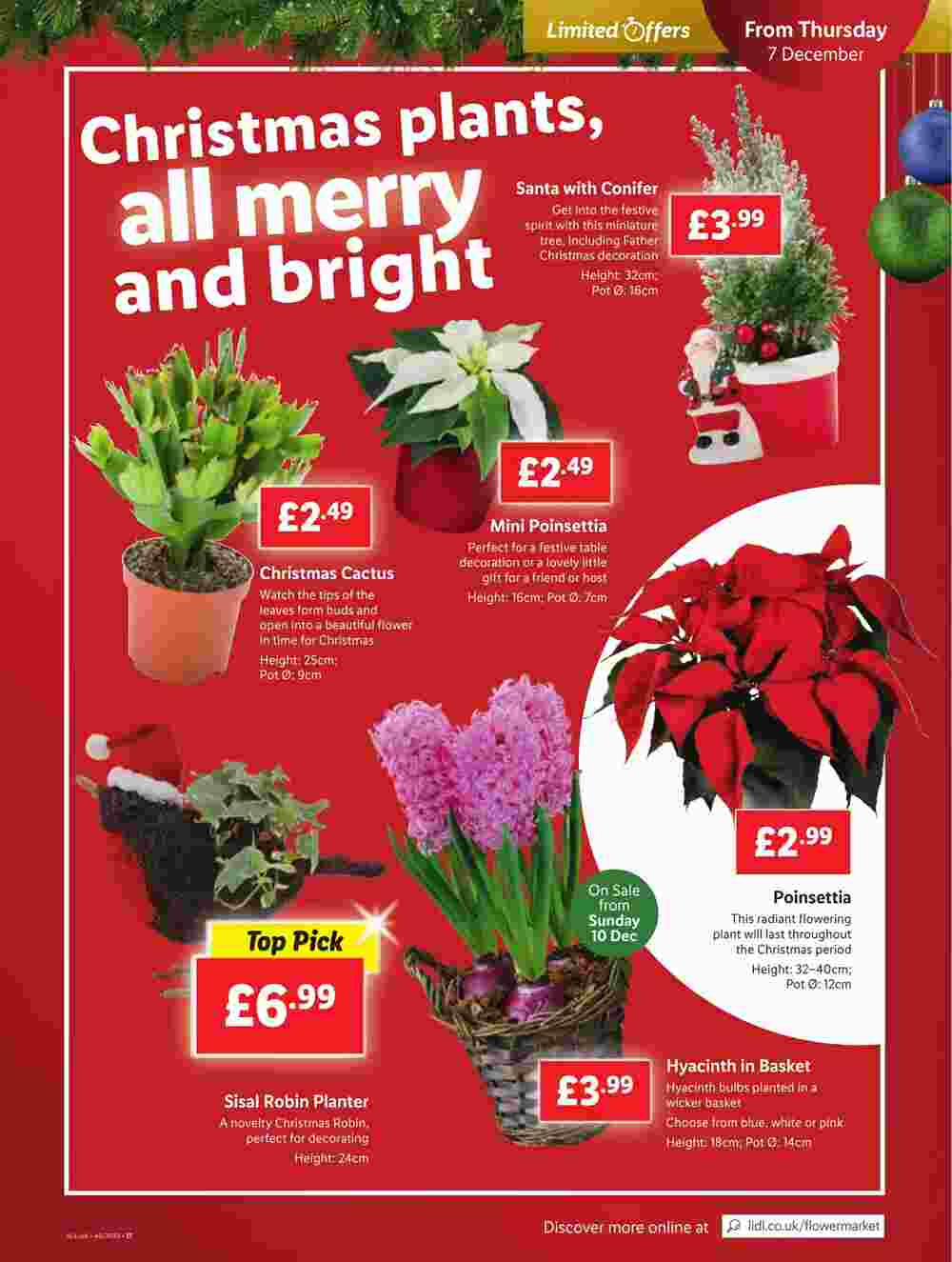 Lidl offers valid from 07/12/2023 - Page 23.