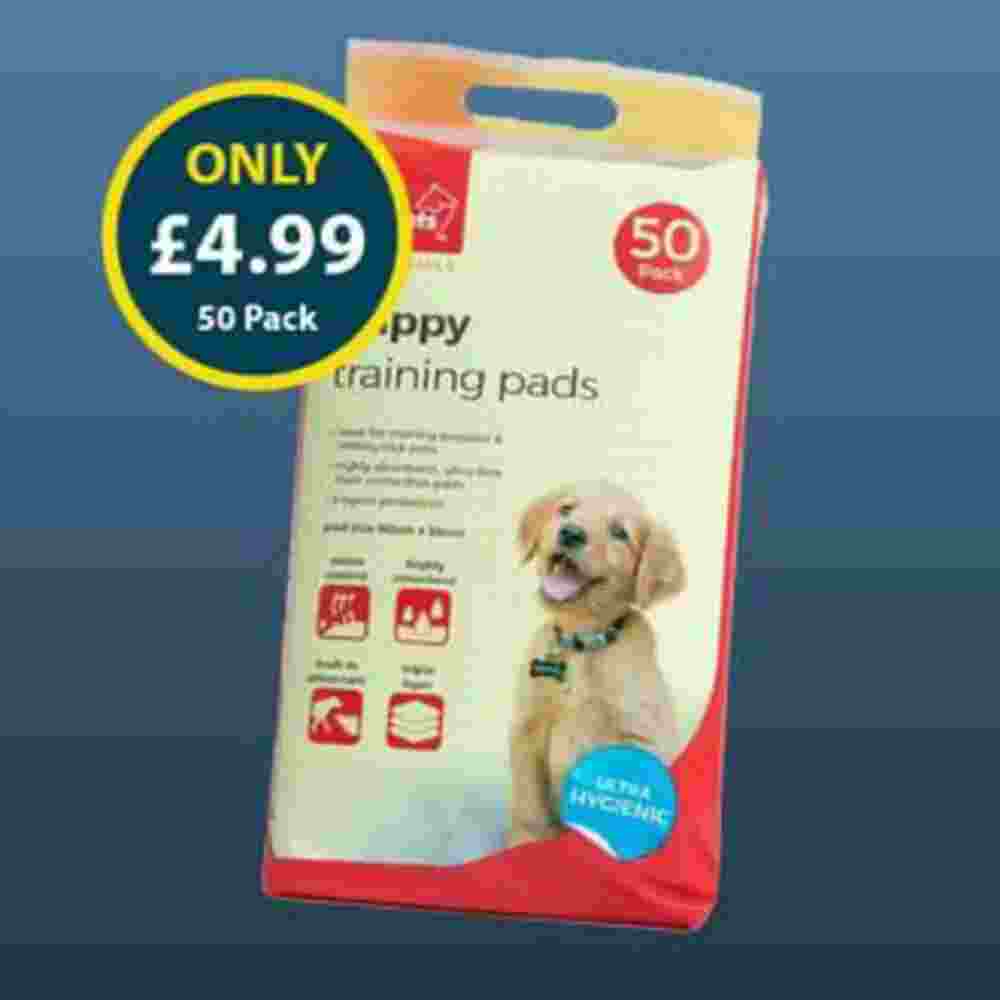 Home Bargains offers valid from 12/01/2024 - Page 13.