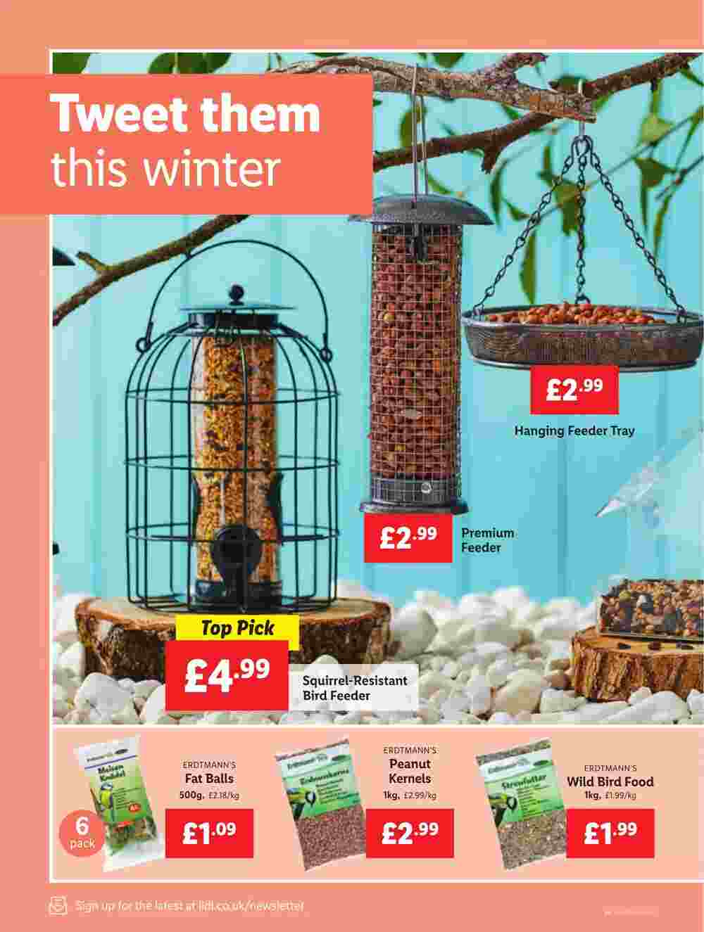 Lidl offers valid from 08/02/2024 - Page 26.