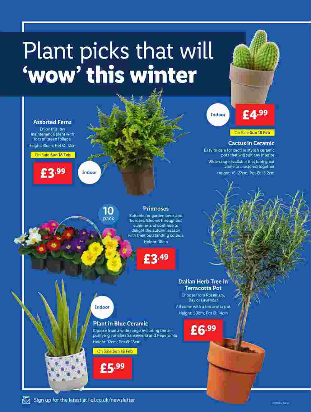 Lidl offers valid from 08/02/2024 - Page 16.