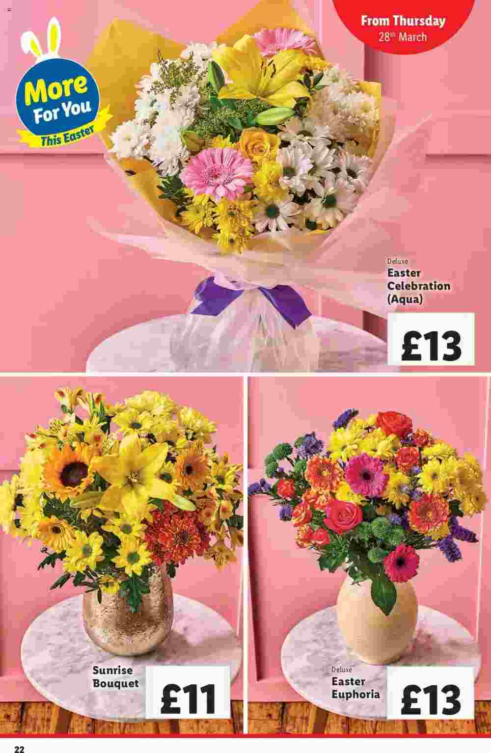 Lidl offers valid from 28/03/2024 - Page 22.