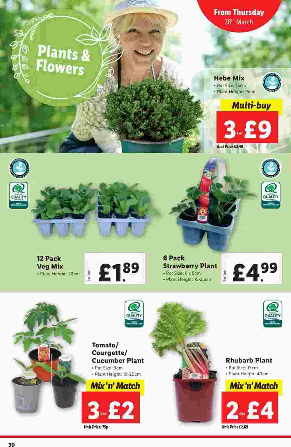 Lidl offers valid from 28/03/2024 - Page 30.