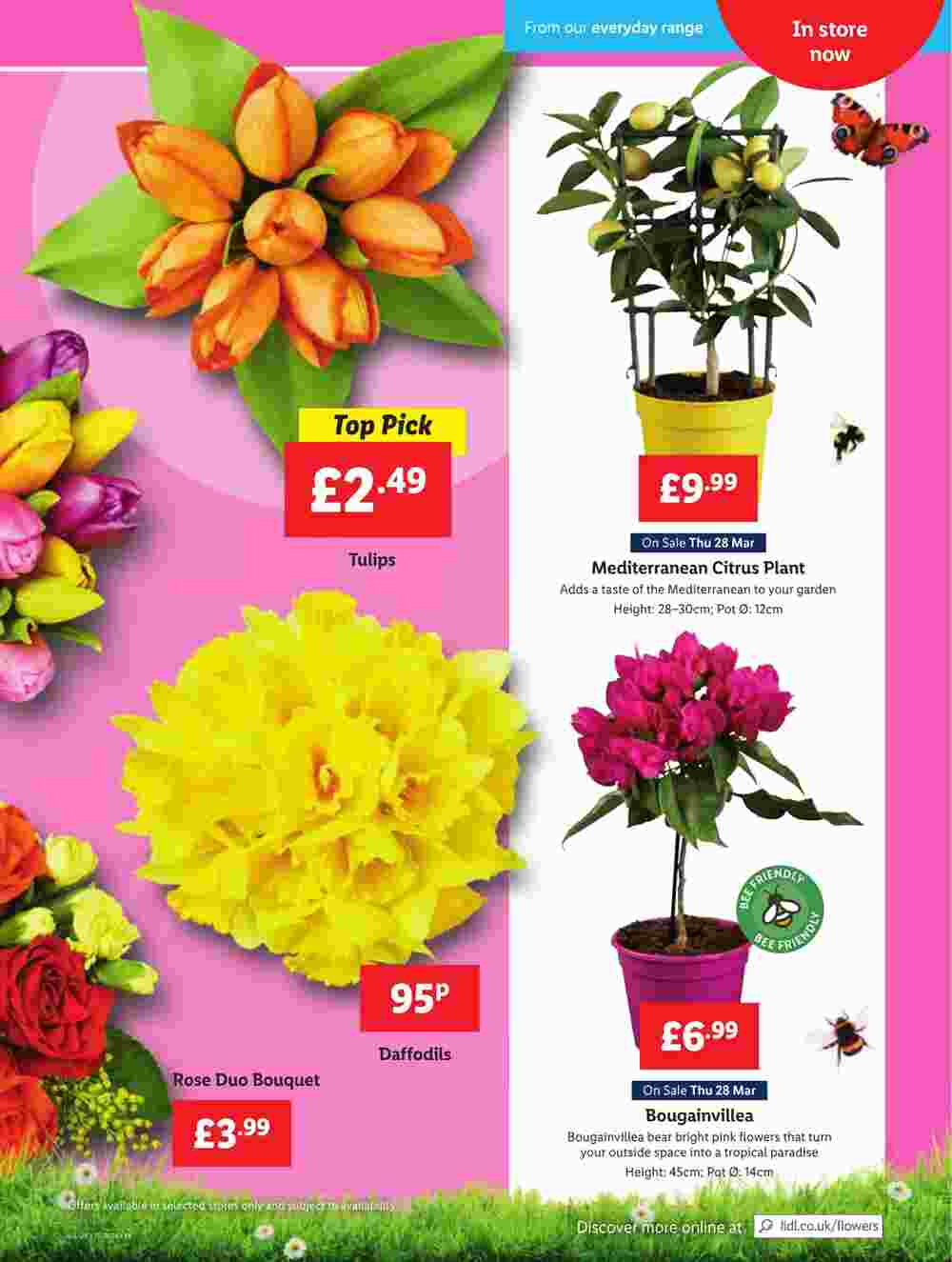 Lidl offers valid from 28/03/2024 - Page 21.