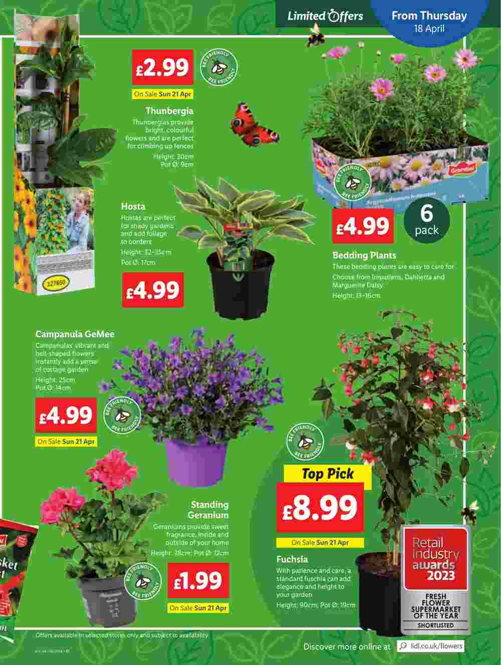 Lidl offers valid from 18/04/2024 - Page 13.