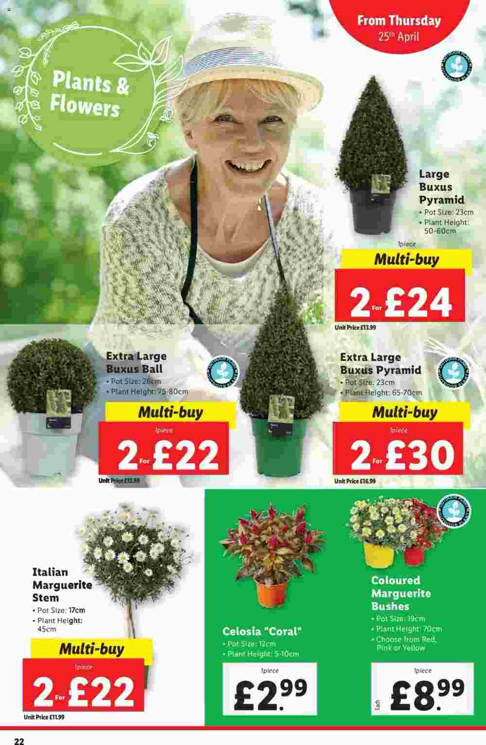 Lidl offers valid from 25/04/2024 - Page 22.