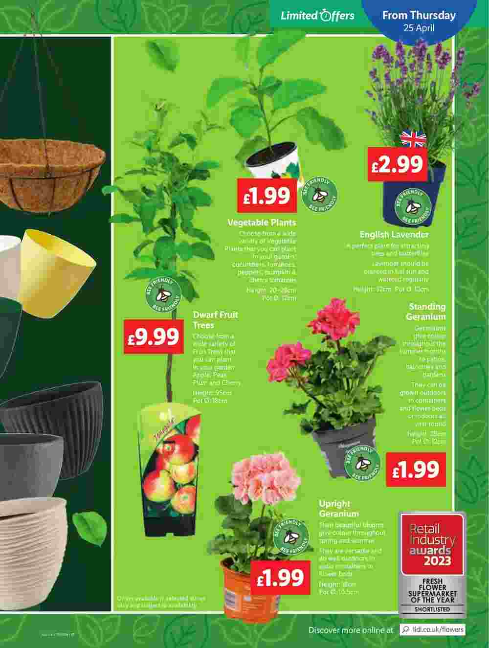 Lidl offers valid from 25/04/2024 - Page 17.