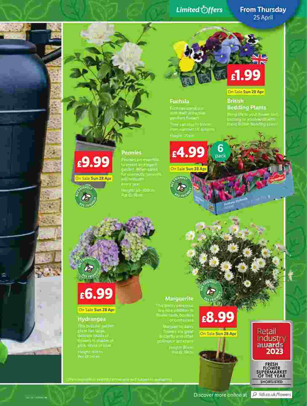 Lidl offers valid from 25/04/2024 - Page 19.