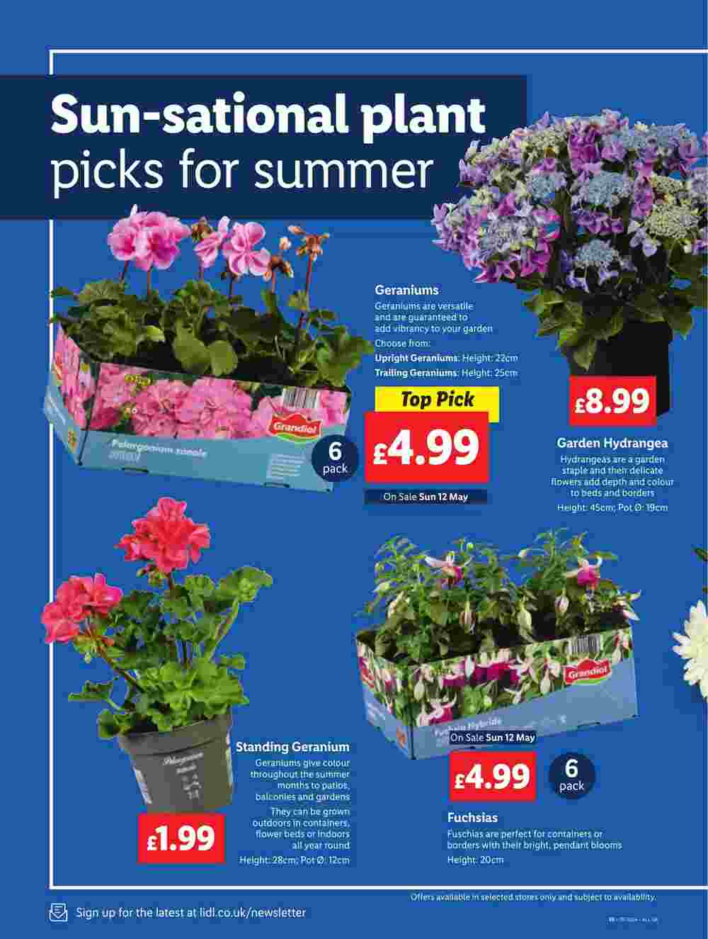 Lidl offers valid from 09/05/2024 - Page 18.