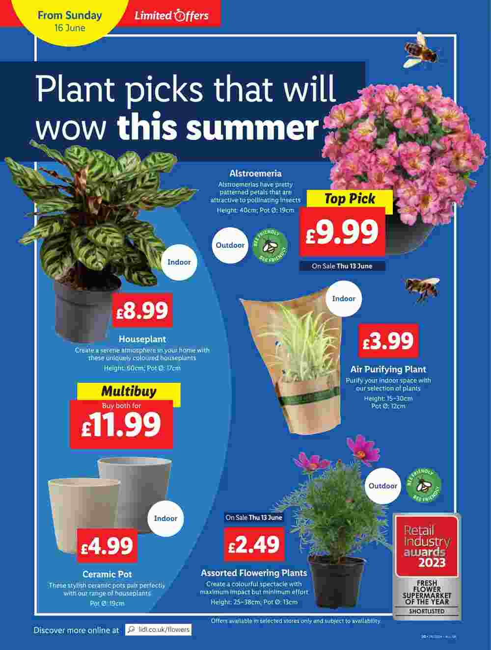 Lidl offers valid from 13/06/2024 - Page 22.