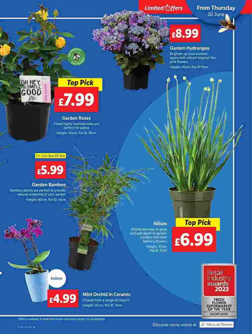 Lidl offers valid from 20/06/2024 - Page 21.