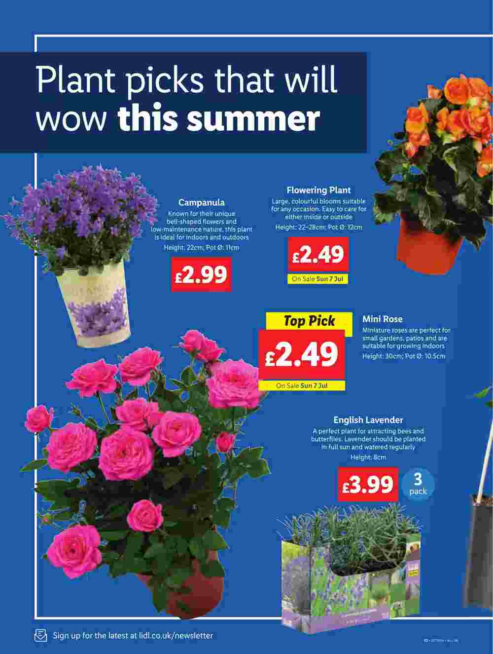 Lidl offers valid from 04/07/2024 - Page 26.