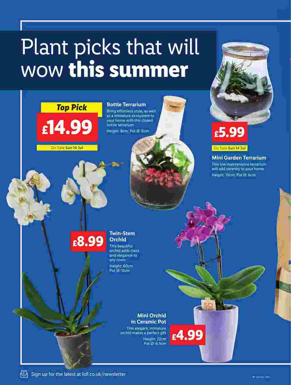 Lidl offers valid from 11/07/2024 - Page 20.