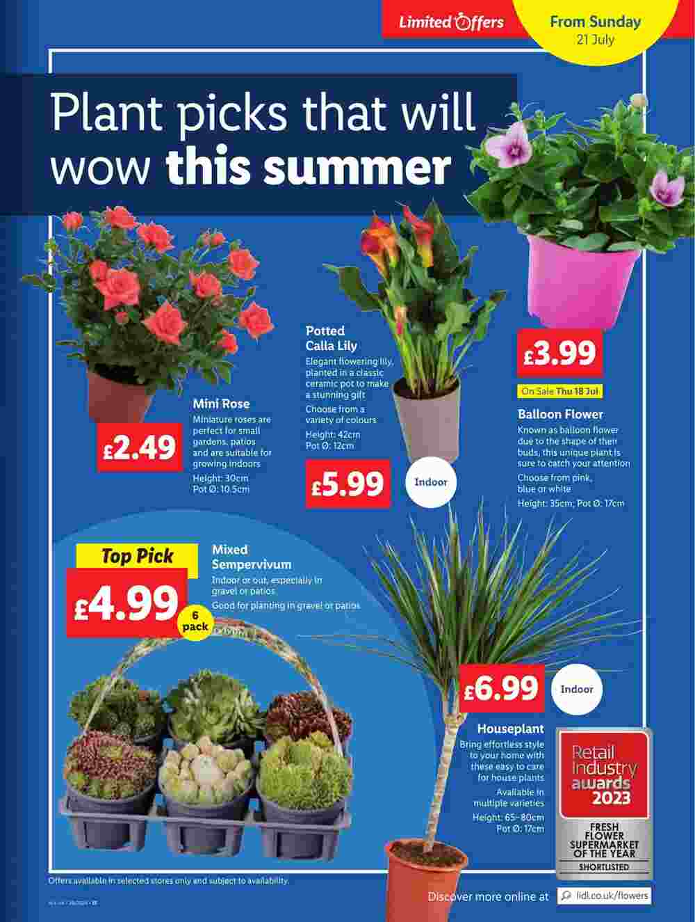 Lidl offers valid from 18/07/2024 - Page 21.