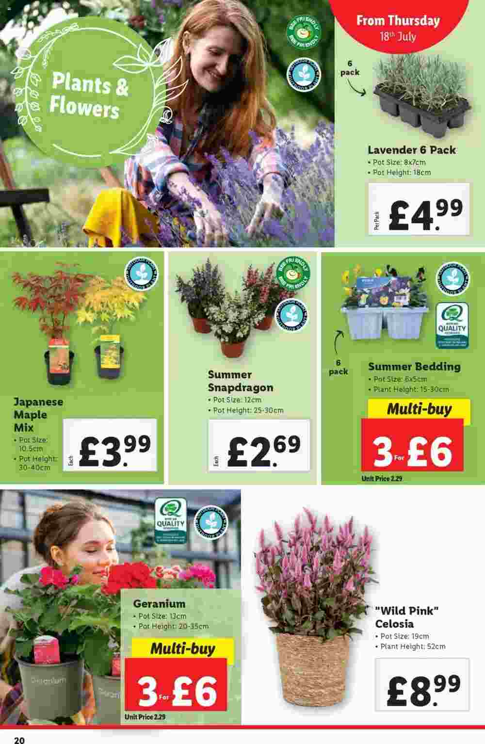 Lidl offers valid from 18/07/2024 - Page 20.