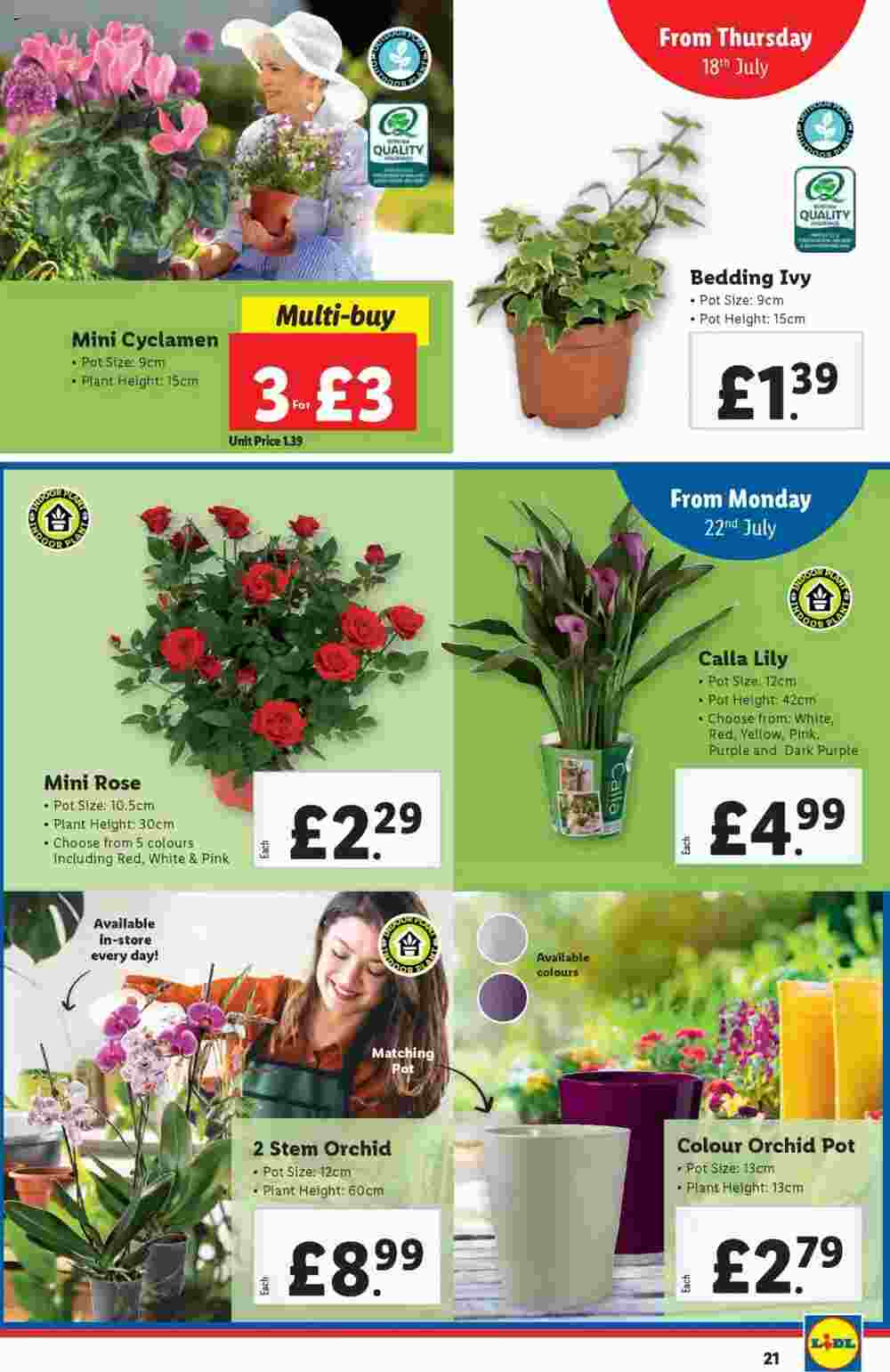 Lidl offers valid from 18/07/2024 - Page 21.