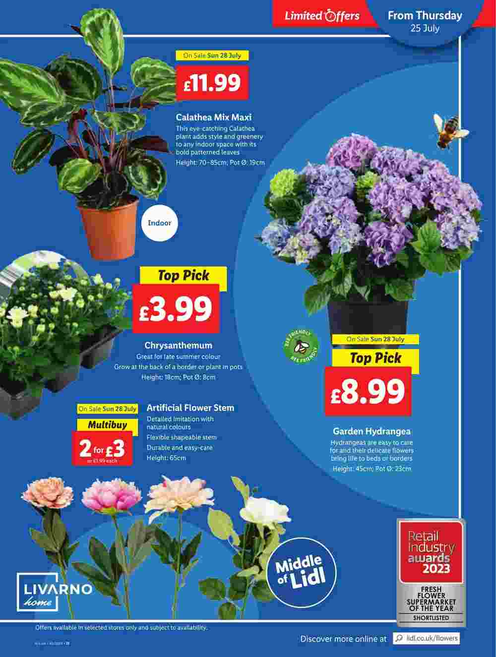 Lidl offers valid from 25/07/2024 - Page 17.