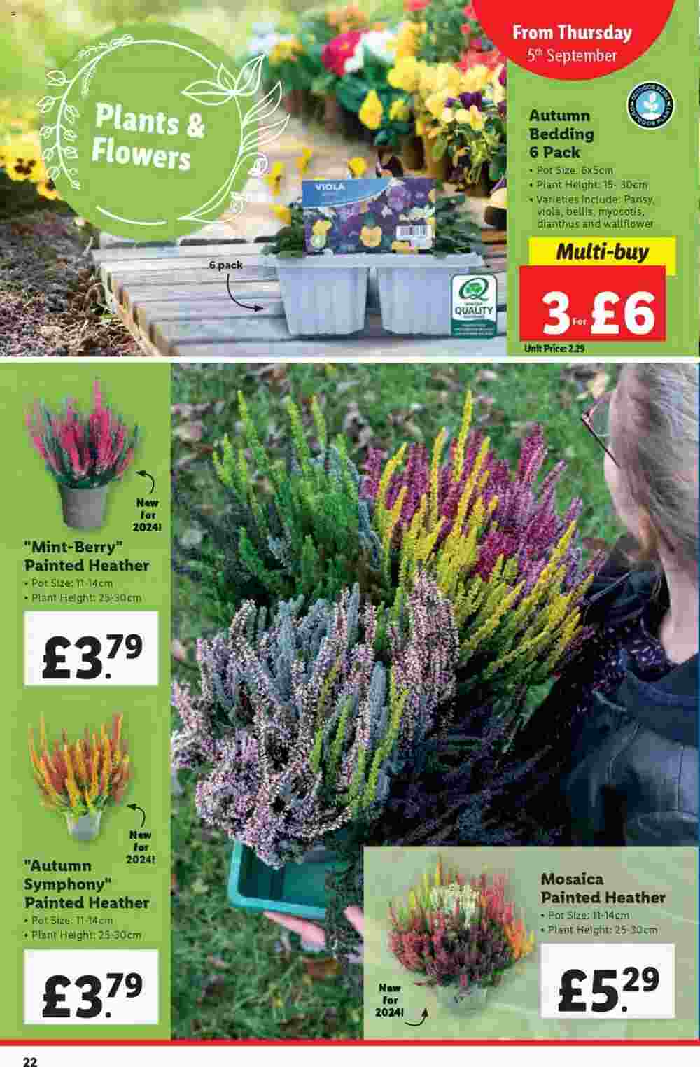 Lidl offers valid from 05/09/2024 - Page 22.