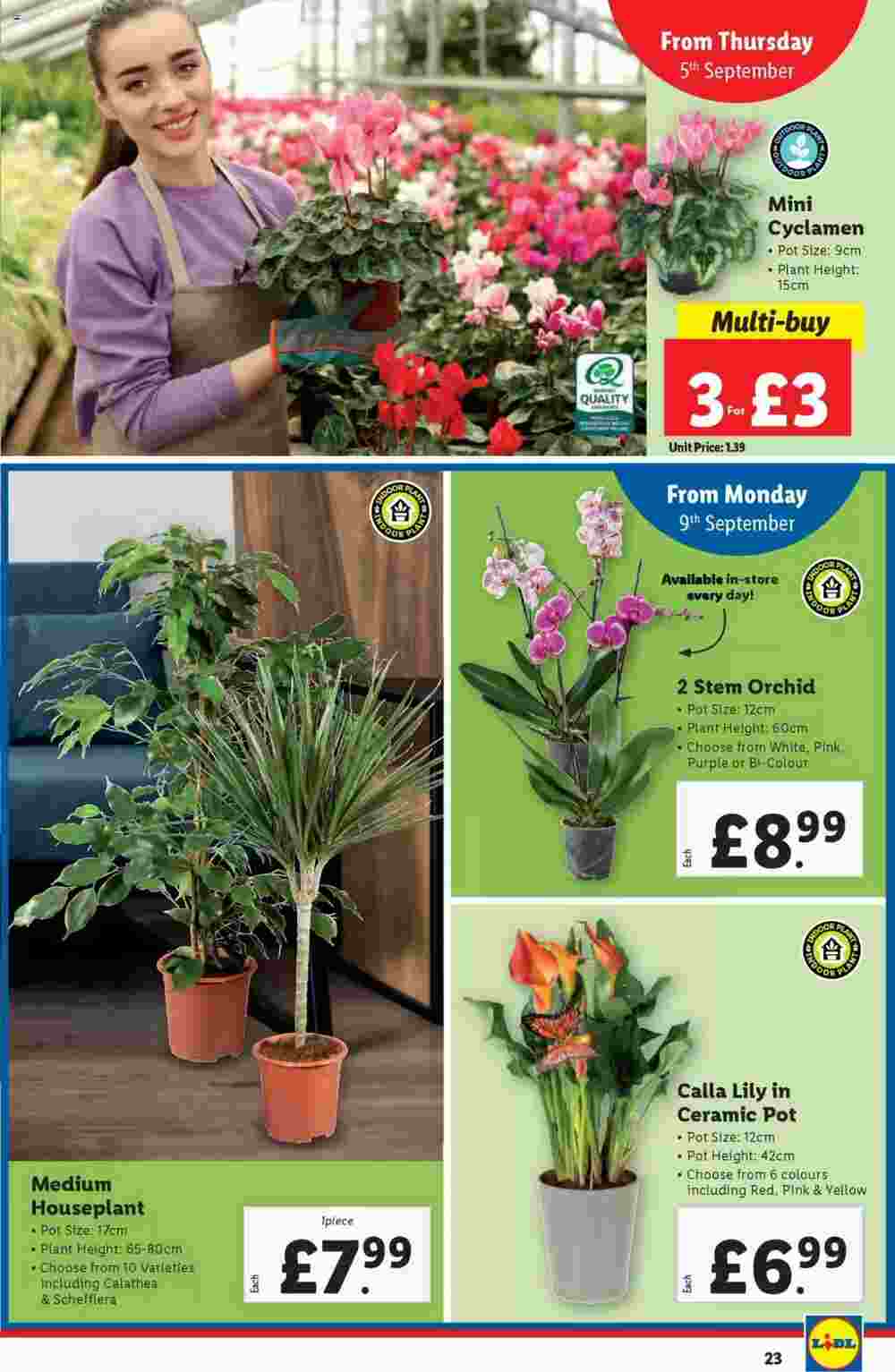 Lidl offers valid from 05/09/2024 - Page 23.