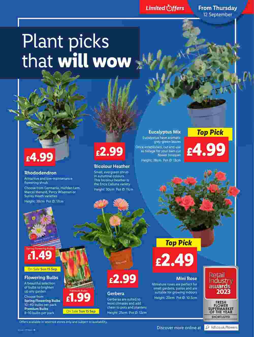 Lidl offers valid from 12/09/2024 - Page 23.