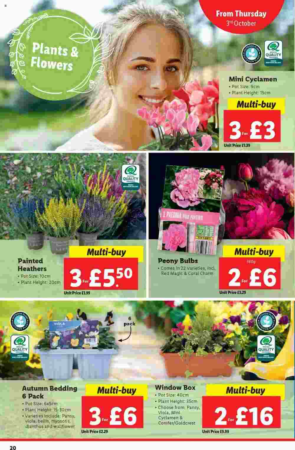 Lidl offers valid from 03/10/2024 - Page 20.