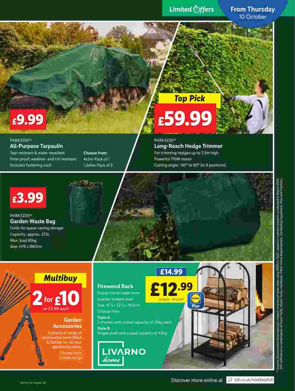 Lidl offers valid from 10/10/2024 - Page 17.