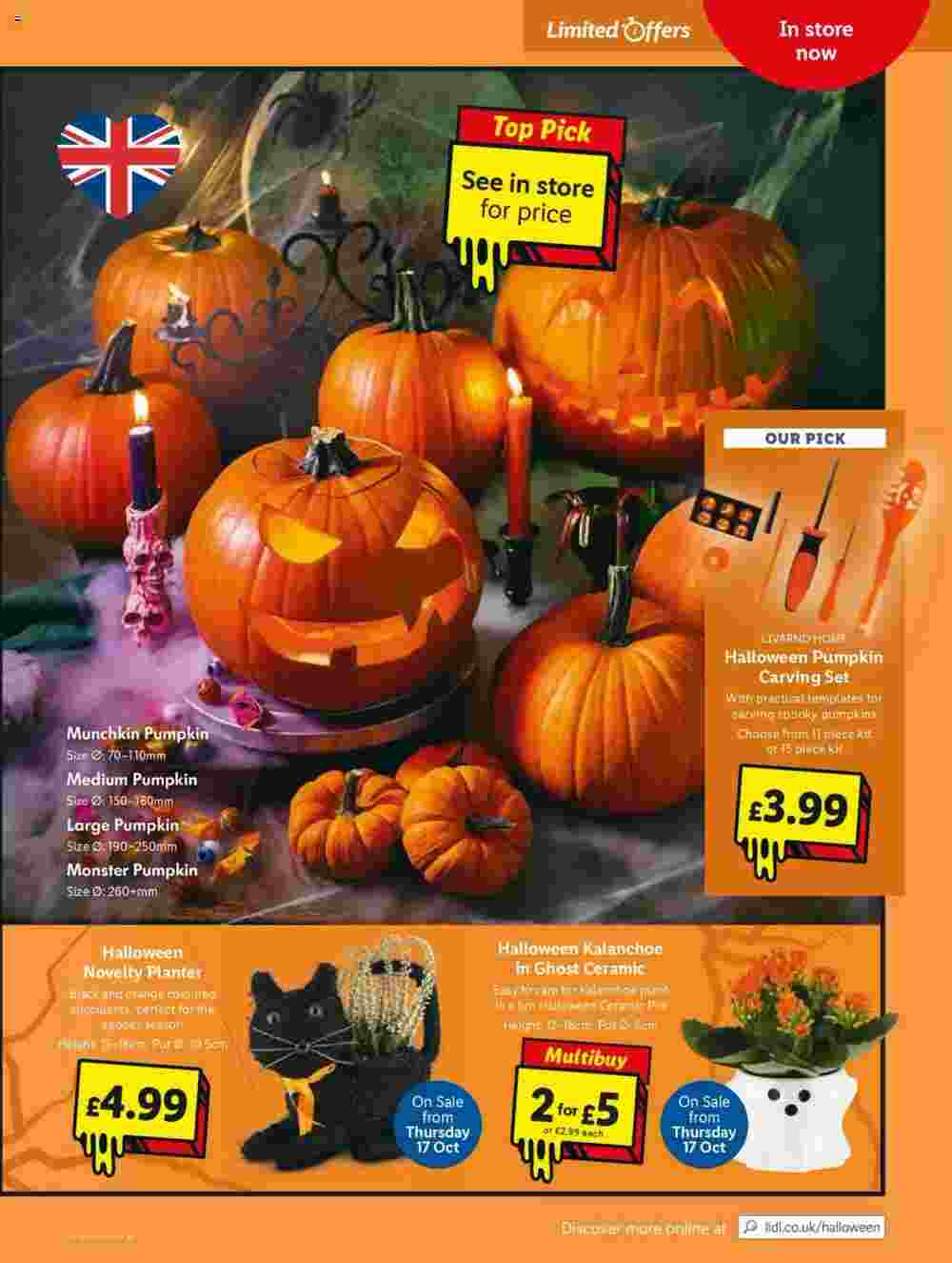 Lidl offers valid from 17/10/2024 - Page 21.