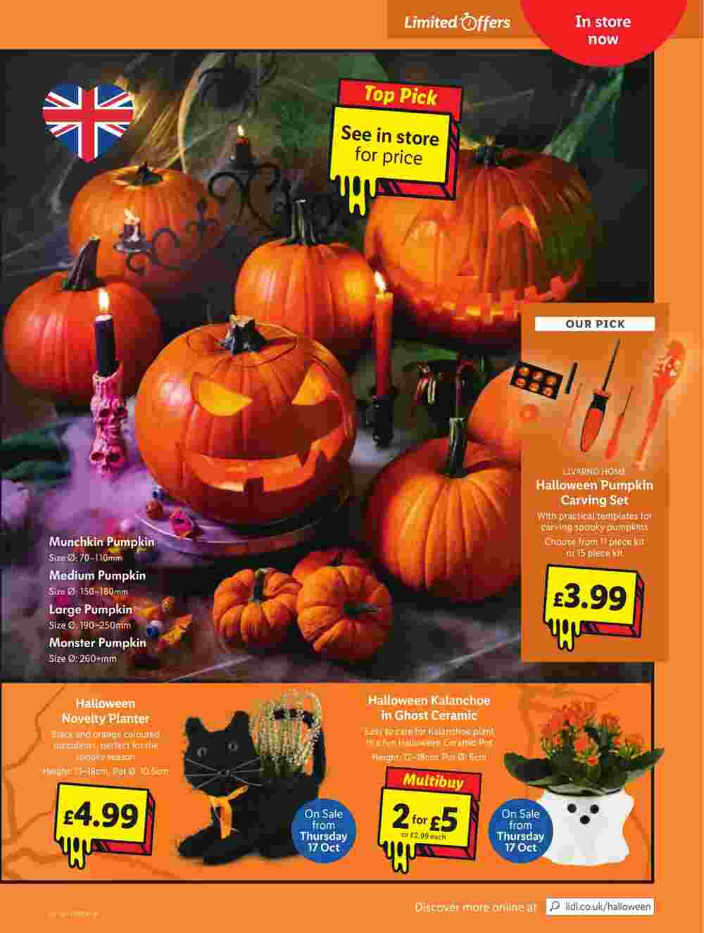 Lidl offers valid from 17/10/2024 - Page 21.