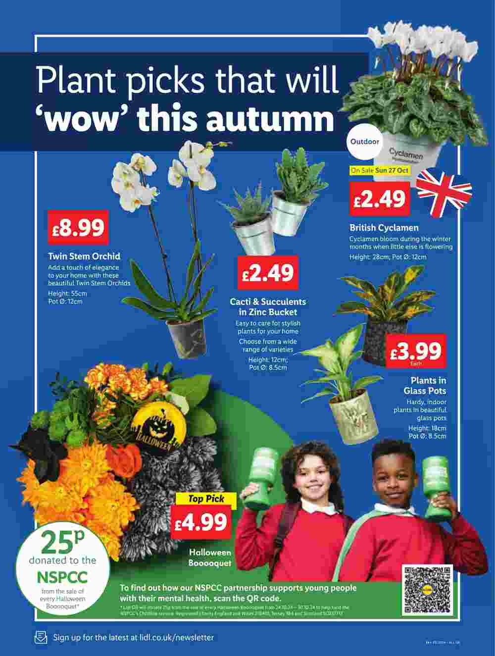 Lidl offers valid from 24/10/2024 - Page 12.