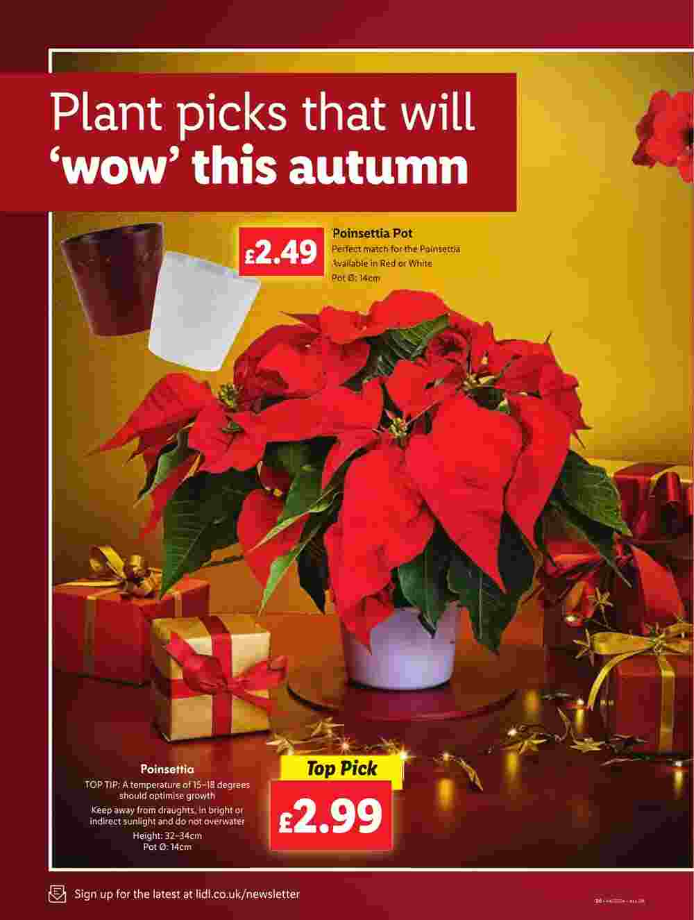 Lidl offers valid from 31/10/2024 - Page 18.