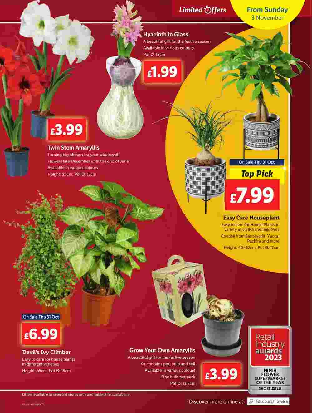 Lidl offers valid from 31/10/2024 - Page 19.