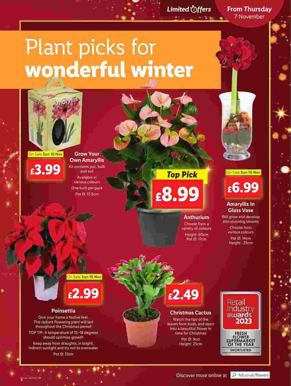 Lidl offers valid from 07/11/2024 - Page 19.