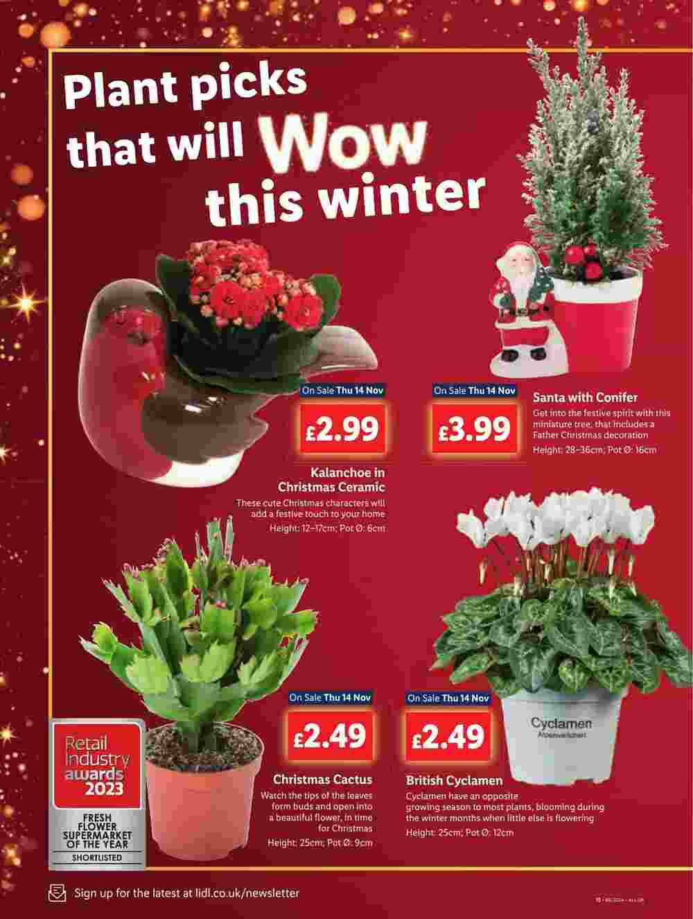 Lidl offers valid from 14/11/2024 - Page 10.