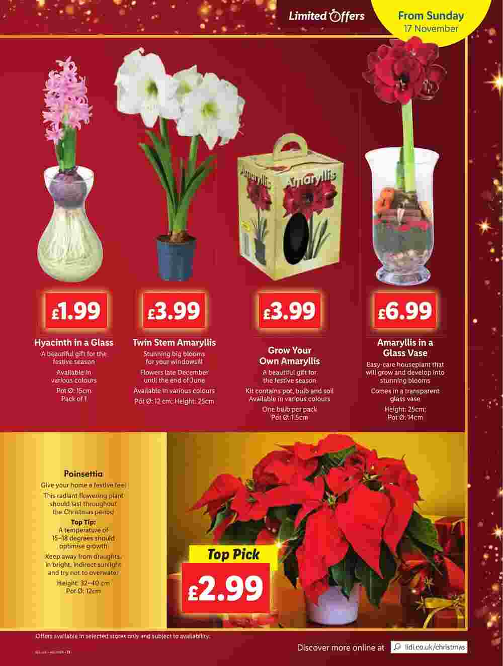 Lidl offers valid from 14/11/2024 - Page 11.