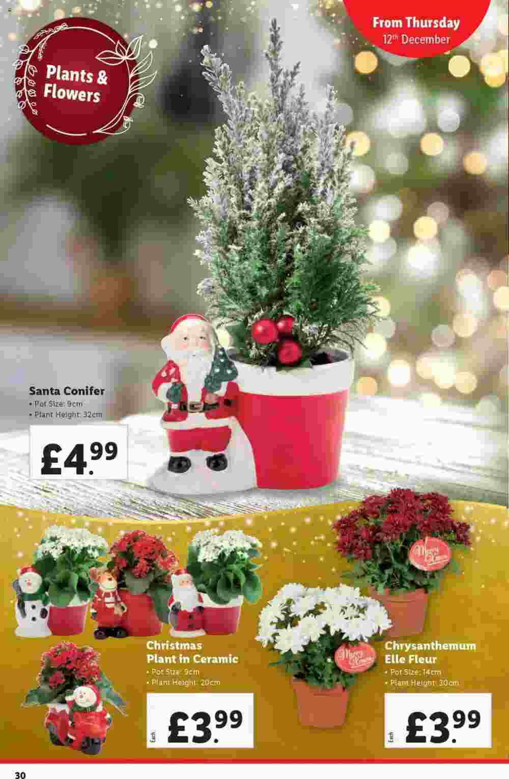 Lidl offers valid from 12/12/2024 - Page 30.