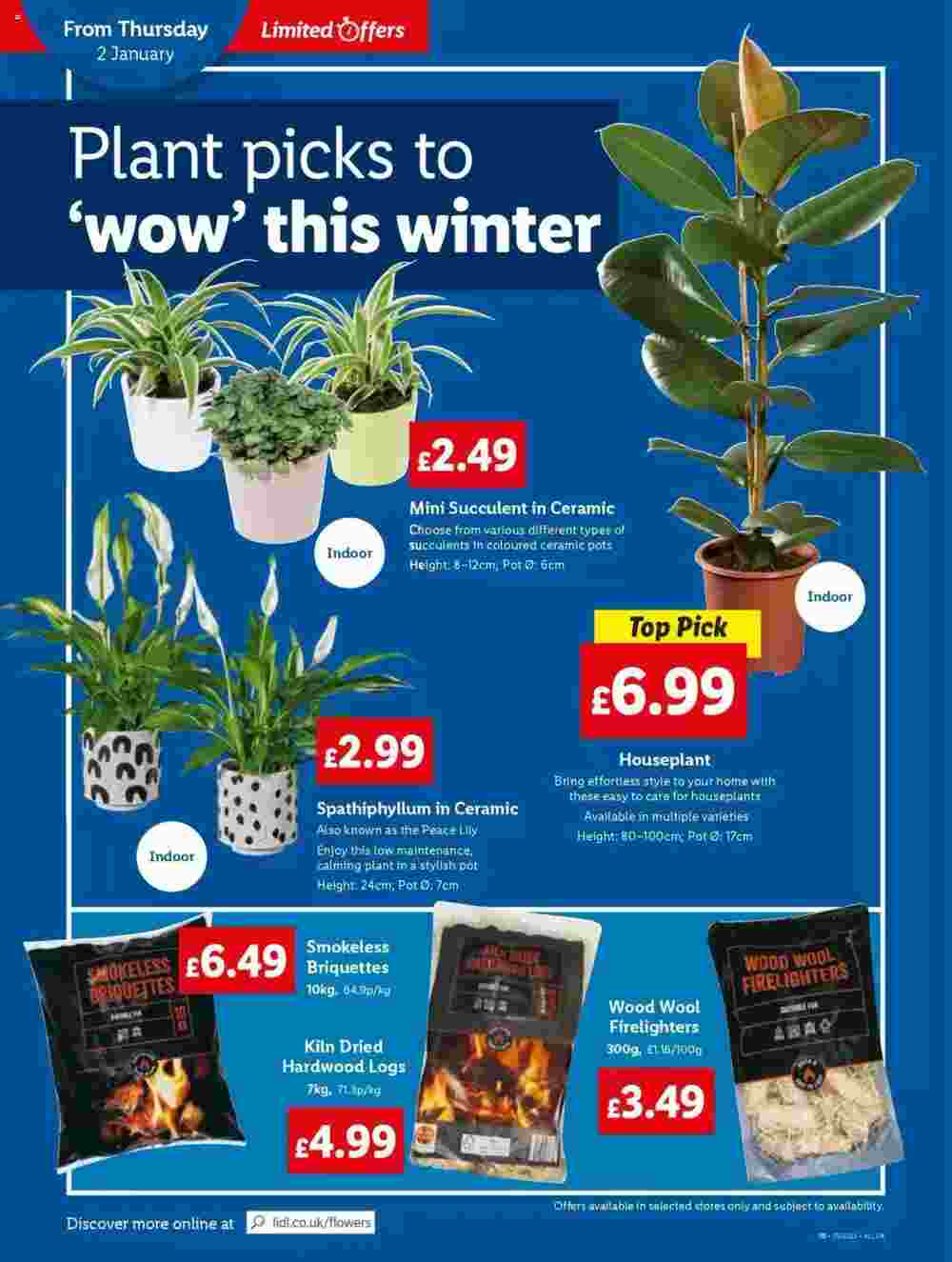 Lidl offers valid from 02/01/2025 - Page 22.