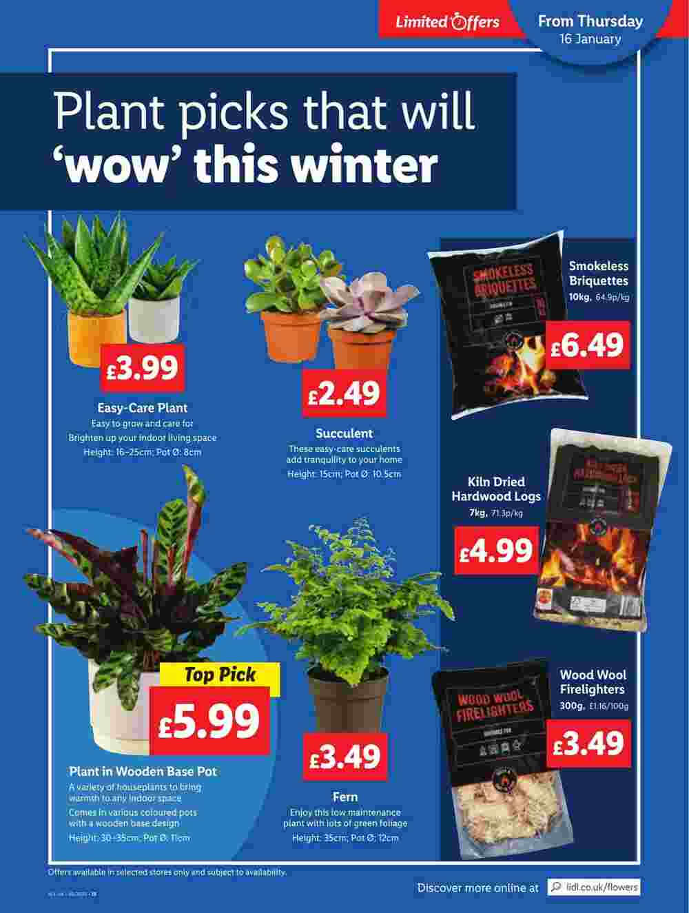 Lidl offers valid from 16/01/2025 - Page 21.