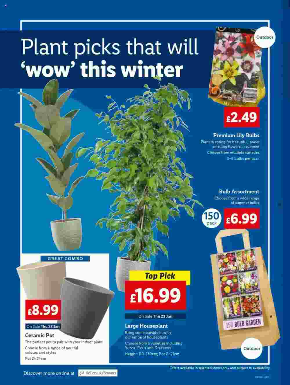 Lidl offers valid from 23/01/2025 - Page 28.