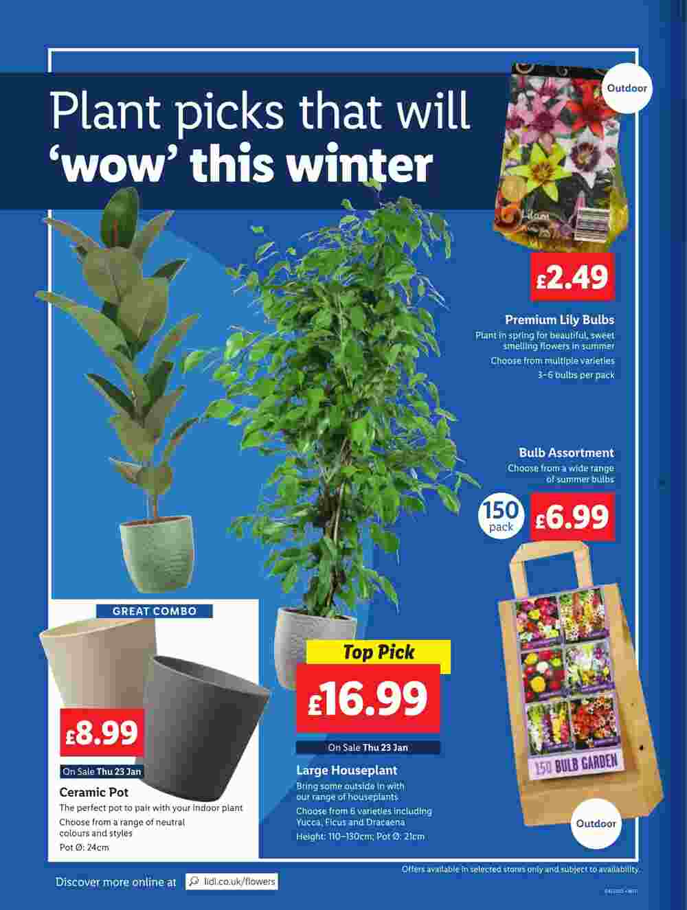 Lidl offers valid from 23/01/2025 - Page 28.