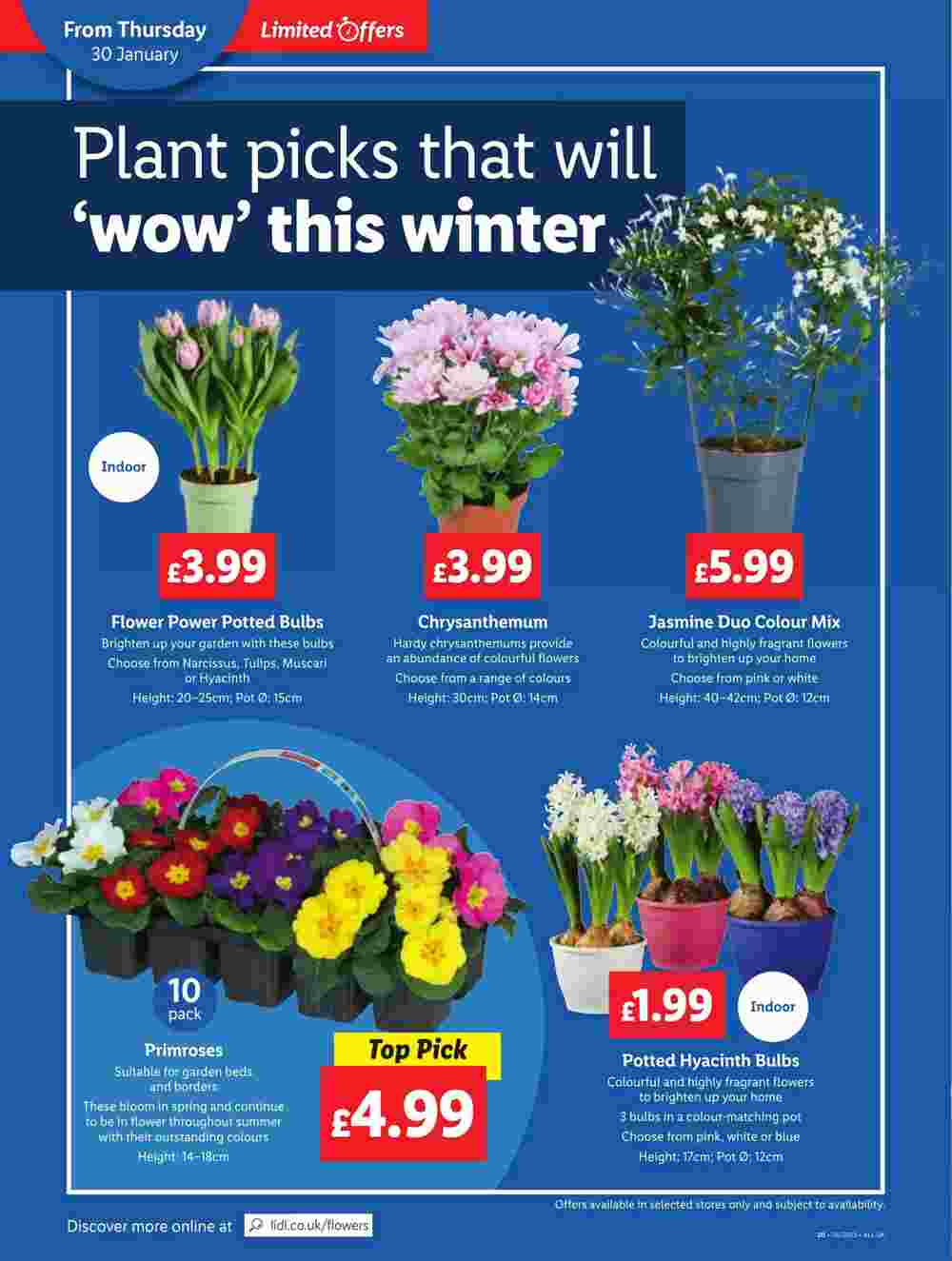 Lidl offers valid from 30/01/2025 - Page 20.