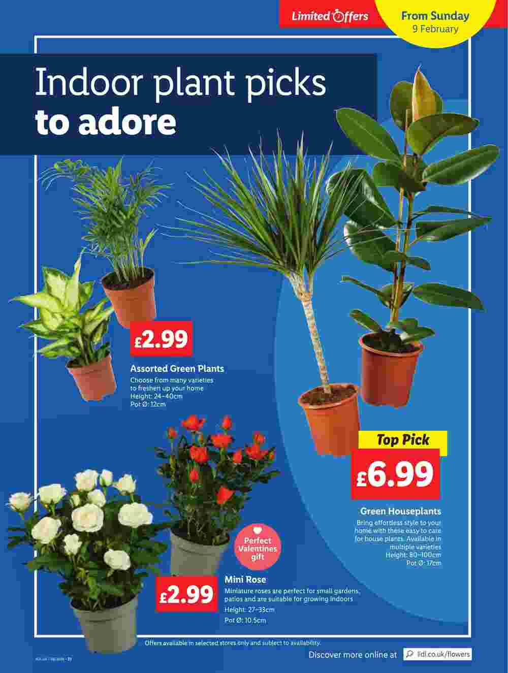 Lidl offers valid from 06/02/2025 - Page 23.